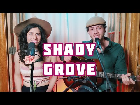 SHADY GROVE - Bluegrass Duet (Lea K & Rabbi T)