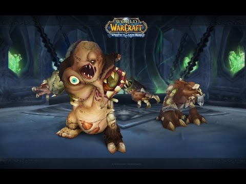 Fury Warrior Soloing Unholy Infusion - Shadowmourne Quest Chain