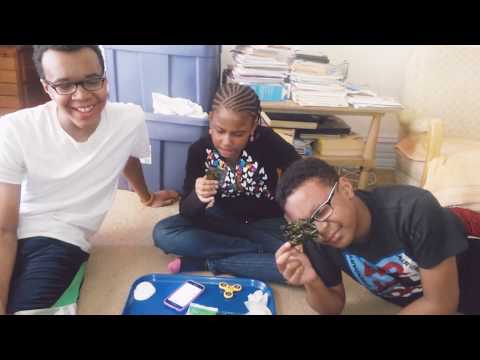 download lagu mp3 mp4 Simply Seaweed, download lagu Simply Seaweed gratis, unduh video klip Simply Seaweed