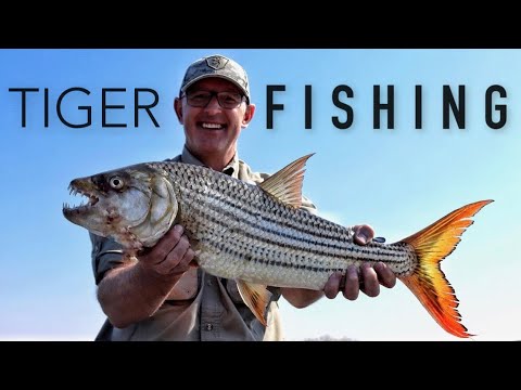 Fishing for TIGER FISH in the Okavango Delta, Botswana