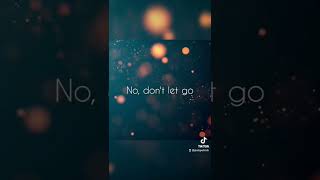 "Don't let go" by Bryan Adams &amp; Sarah McLachlan #lyrics #classic  #bryanadams #sarahmclachlan #fyp