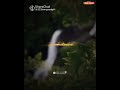 Yarum Parkamal Yenai Parkiren Love WhatsApp Status