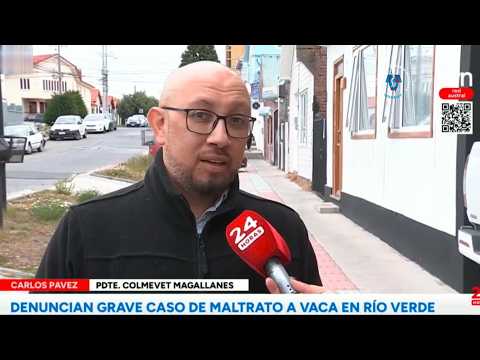 Maltrato animal en la Región de Magallanes: posibles consecuencias físicas para el animal.
