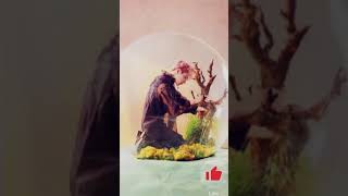 Download lagu Dj pokemon dimana kamu | ft. BTS💜 mp3 Download lagu Dj pokemon dimana kamu | ft. BTS💜 mp3
