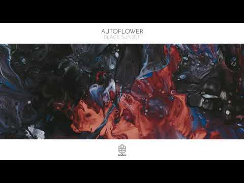 AUTOFLOWER - Black Sunset