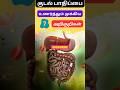 குடல் பாதிப்பை உணர்த்தும் அறிகுறிகள�