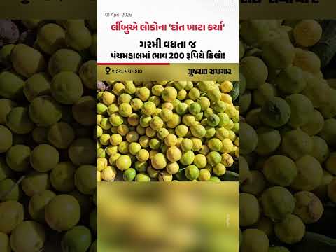 લીંબુએ લોકોના 'દાંત ખાટા કર્યા', ગરમી વધતા જ પંચમહાલમાં ભાવ 200 રૂપિયે કિલો!