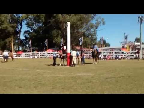 Alvaro Velazquez. LA chinchilla Canelones