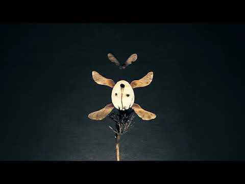 САКРАЛЬНИЙ ГЕРБАРІЙ частина перша