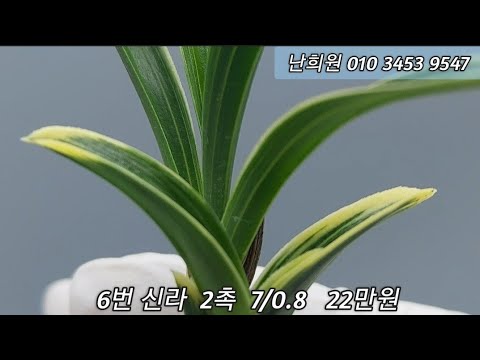 유튜브 썸네일