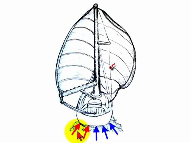 How to Prevent Flying Jibes when Downwind Sailing