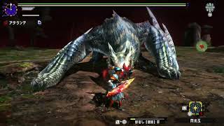 【MHXX】白疾風ナルガクルガ超特殊許可　ソロブシドー双剣