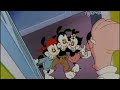 Animaniacs Monkey Song Polish
