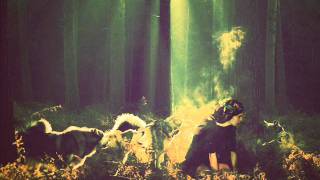 Phosphorescent- Wolves