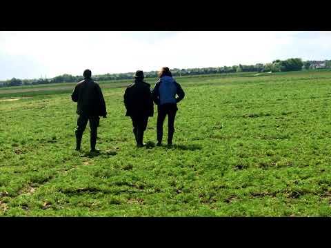 VJP die Jugendprüfung bei Jagdhunden