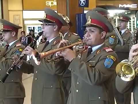 Flash mob - 4th Infantry Division „Gemina” Military Band #203