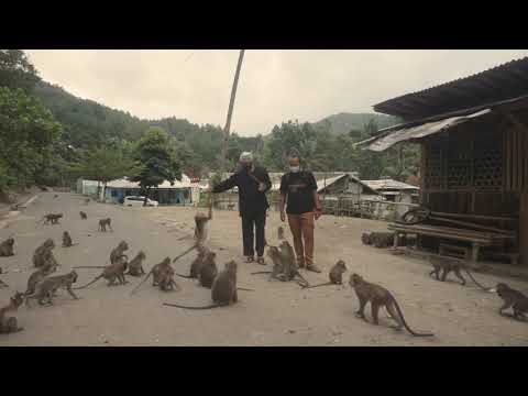 Profil Desa Wisata Cikakak