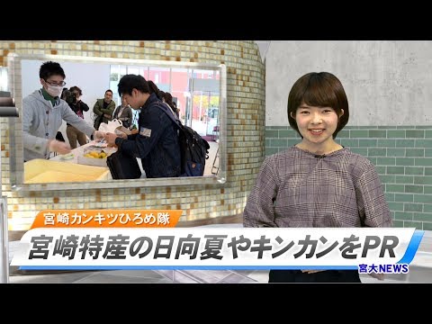180006 宮大NEWS 宮崎カンキツ広め隊　宮崎特産の日向夏やキンカンをPR