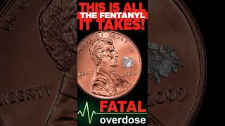 24 Million Potential Lethal Doses Of Fentanyl Prevented From Being Distributed In Our Community