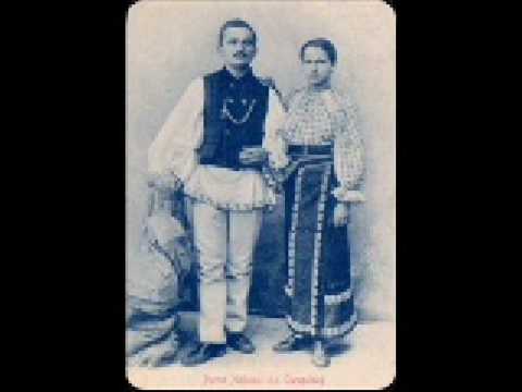 Pasăre galbenă-n cioc / Yellow beak bird