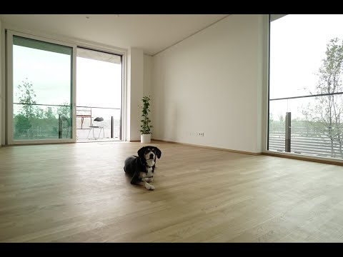 TRIIIPLE 2Zi mit Balkon und Concierge