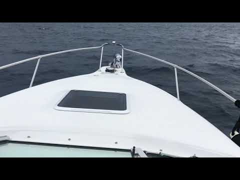 Sea Ray 250 Sundancer video