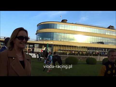 Gon. VII (N. Dżudo)  - 6.10.2018 - Time of Dream (Ajvaz Dream - Time of Wind)