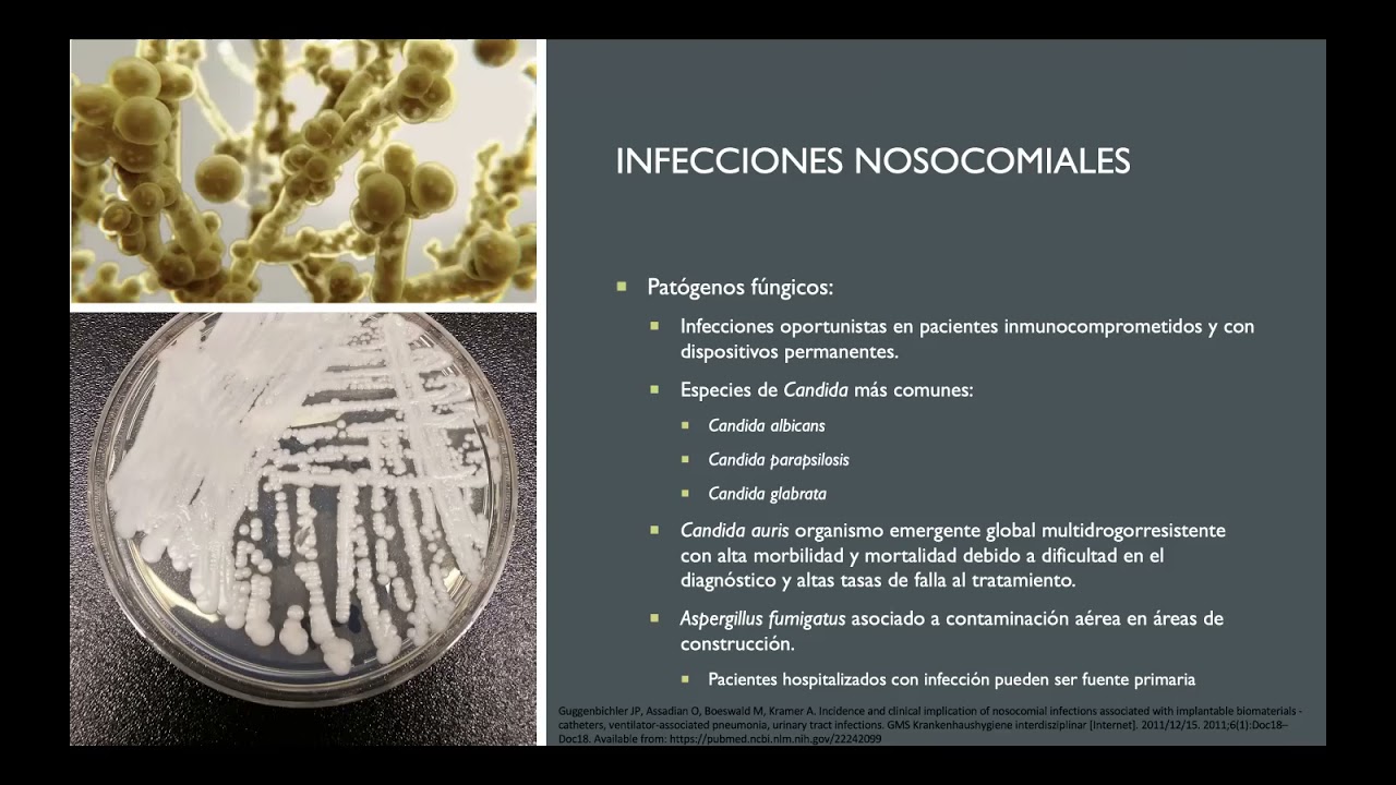 Infecciones nosocomiales