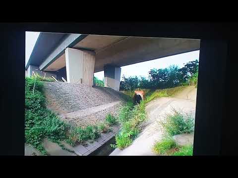 Alter Hoesch Kanal Emscher Dortmund - Einlauf / Innenleben - Ausgang - Abwasserkanal Kanalisation