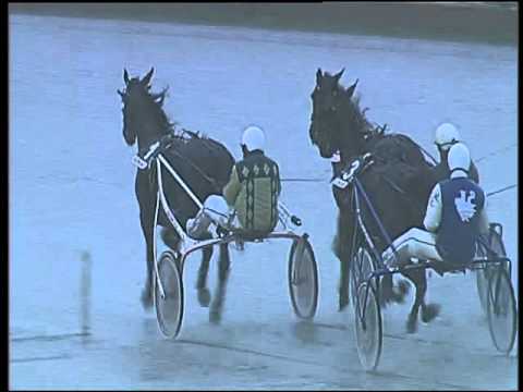 Trotto 29/10/2015 - 2° corsa