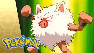 Thumbnail del capítulo