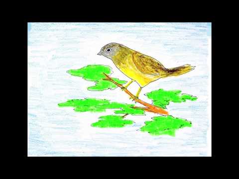 歌謠篇 邵語 06shmashuni a quyash 繡眼畫眉鳴叫