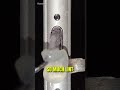 How To Clean An iPhone