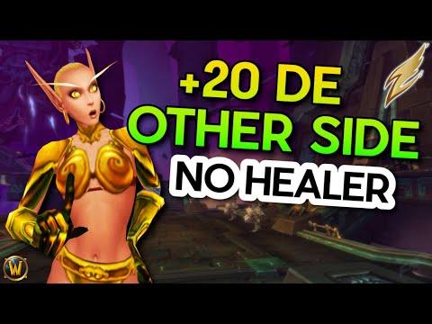 NO HEALER +20 De Other Side - Prot Pally PoV