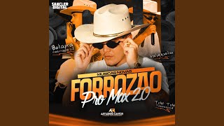 Download lagu Novinha Safadinha mp3