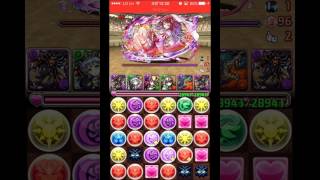 [챌린지43 LV10] 환생 아누비스(장고 주의)