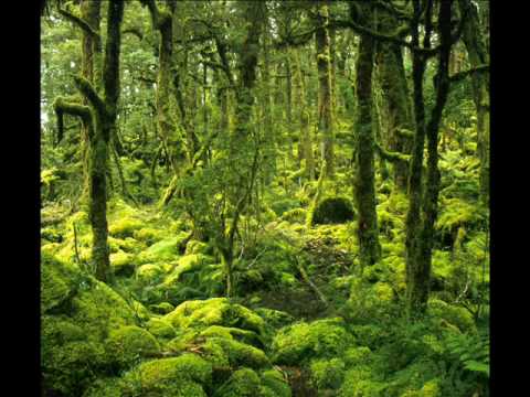 Artax - Enhanced Aspect