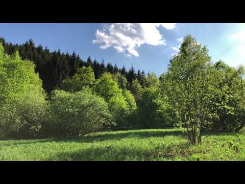 Pensiunea Armonia*** primavara 2018