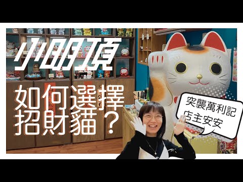 招財貓 哪裡買
