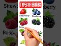 Types Of Berries English Vocabulary With Pictures