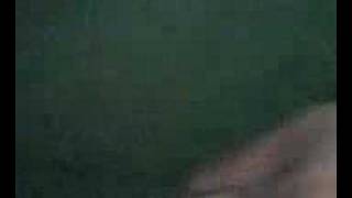 The designated driver