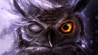 Huutch feat. Raoul Sinier- Night Owl
