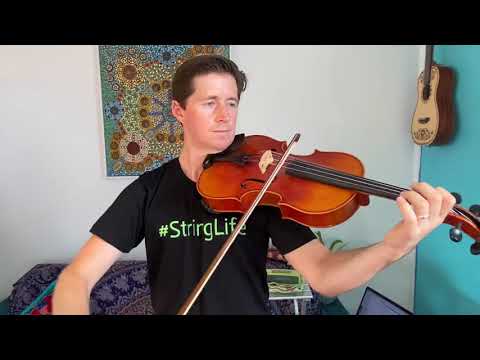 42. Calypso Time viola Time Joggers