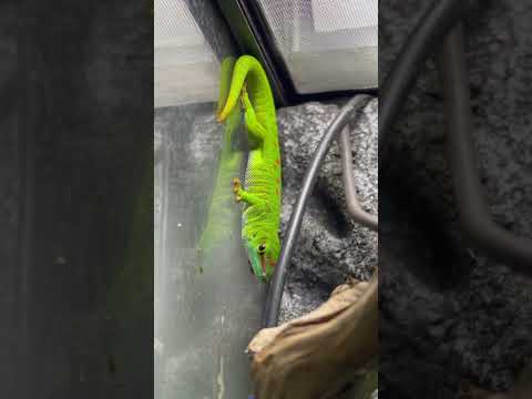 A fully functioning ecosystem #ecosystem