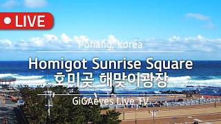 포항실시간 호미곶광장라이브 Live Cam I "Homigot Sunrise Square", Pohang,Korea I 포항호미곶해맞이광장 포항일출 포항바다 포항호미곶일출 상생의손 live webcam