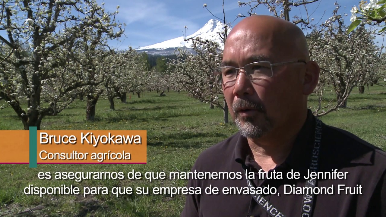 Normas alimentarias mundiales del Codex en EE.UU.: protegen a consumidores y facilitan el comercio