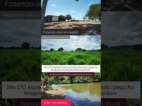 270 alqueires em São Felix do Araguaia MT / whatsapp 62 99373-6407