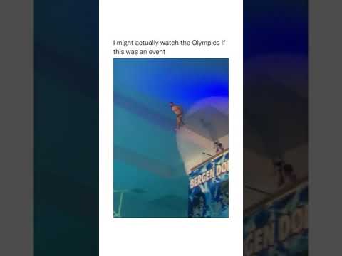 Campeonato Cair de Barriga na Água