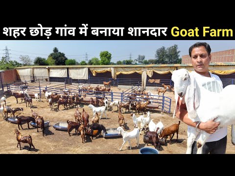 , title : 'ऐसा शानदार बकरी फार्म आपने देखा नहीं होगा | Goat Farm Tour | Goat Farming'