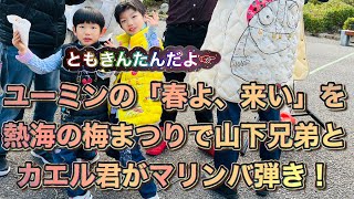 ユーミンの「春よ来い」を熱海の梅まつり  でマリンバ弾き！